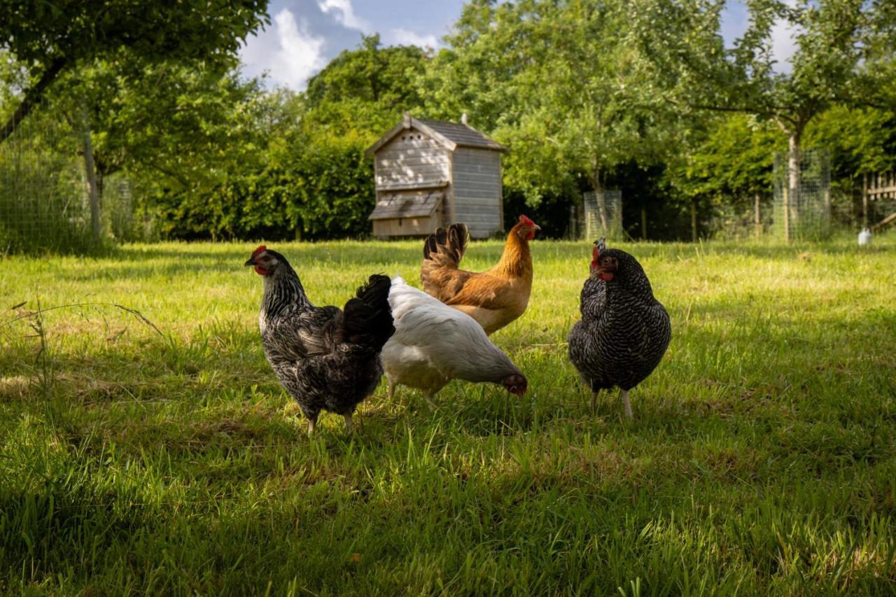 مبيت وإفطار جيلينغهام Gutchpool Farm المظهر الخارجي الصورة